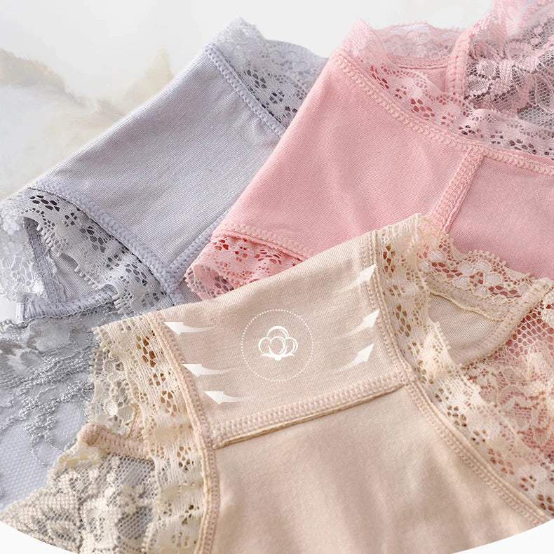 Conjunto de Calcinhas Lais - 12 Peças Conjunto de Calcinhas Lais - 12 Peças Importe Go 