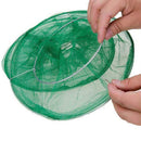 Armadilha para Moscas - FlyCatcher | Compre 1 Leve 2 P20-168 Importe Go 
