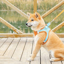 Coleira Peitoral para Cachorros e Gatos - Comforpet Coleira Peitoral para Gatos e Cachorros Importe Go 