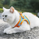 Coleira Peitoral para Cachorros e Gatos - Comforpet Coleira Peitoral para Gatos e Cachorros Importe Go 