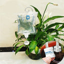 Irrigador Automático Ajustável para Plantas - AquaDrop Irrigador Automático Ajustável para Plantas - AquaDrop Importe Go 