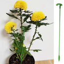 Suporte Inteligente para Plantas de Jardim - GardenLift Suporte Inteligente para Plantas de Jardim - GardenLift Importe Go 