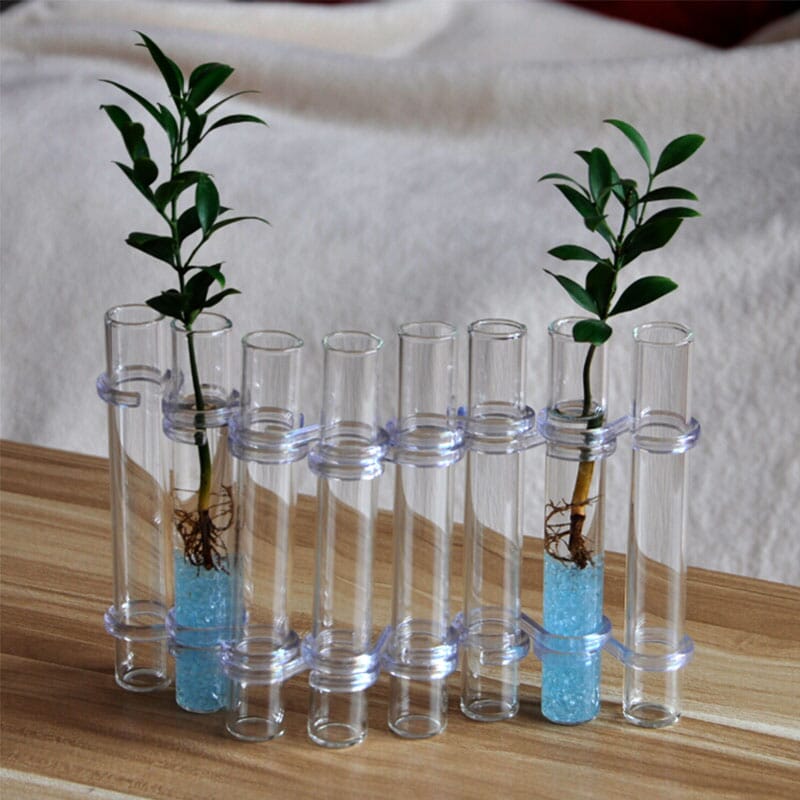 Vaso Ajustável de Vidro Transparente para Decoração Vaso Ajustável de Vidro Transparente para Decoração Importe Go 